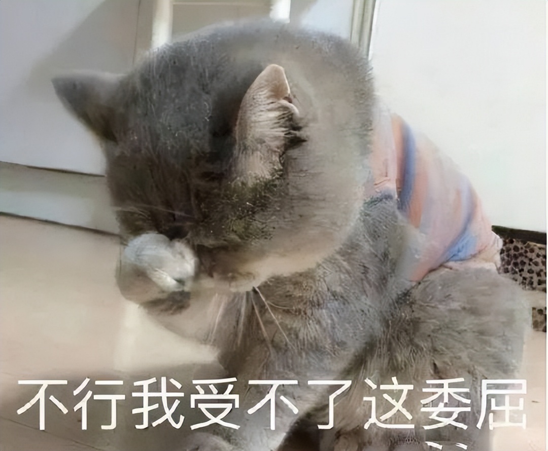 传奇游戏_传奇8L与伊人风采对决_网游史上最出名纷争