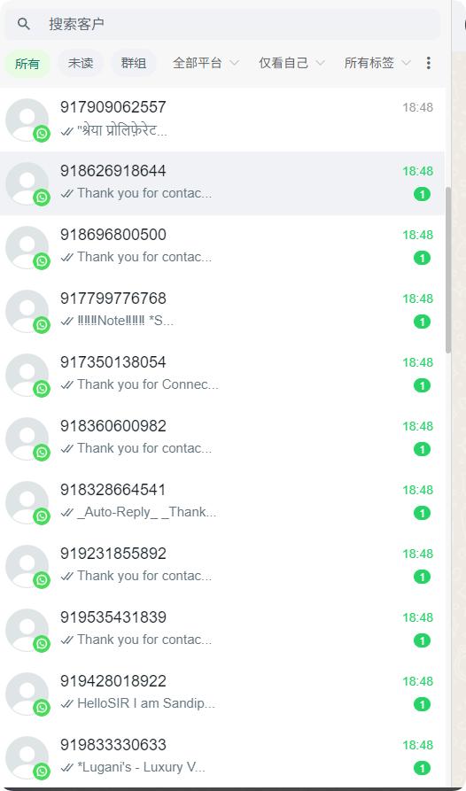 企业国际化营销_WhatsApp绿标认证_WhatsApp