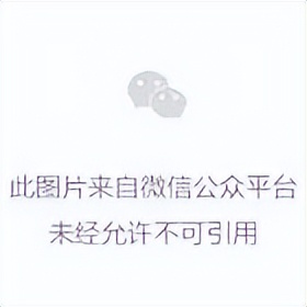 俄罗斯官方通讯软件_WhatsApp_俄罗斯MAX应用