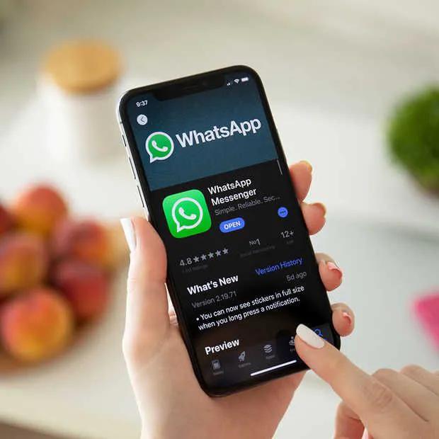 WhatsApp商业版下载_WhatsApp_WhatsApp海外营销