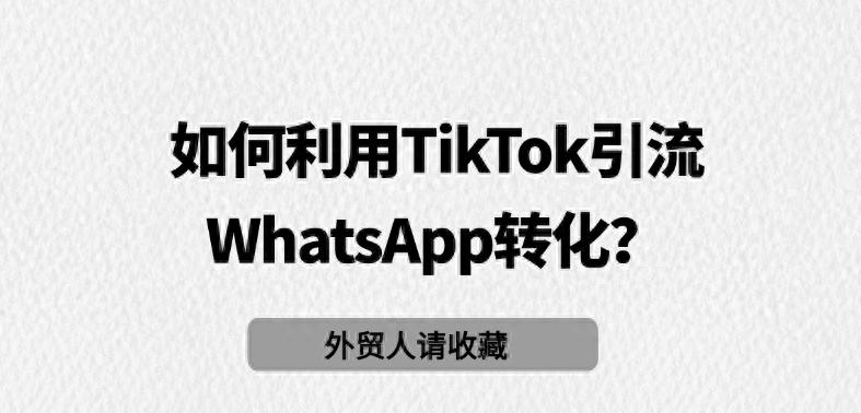  TikTok WhatsApp 账号搭建与定位 _TikTok WhatsApp 跨平台流量转化 _WhatsApp