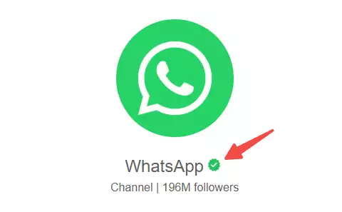 WhatsApp官方认证绿标申请技巧_WhatsApp_提升品牌曝光度策略