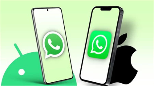 whatsapp最新安卓版本_状态功能自定义_WhatsApp