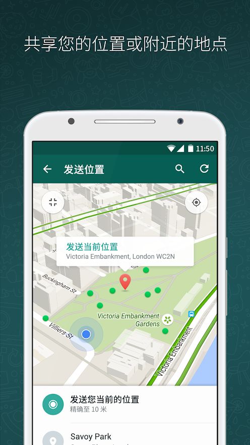 WhatsApp社交软件安卓下载安装app图片1