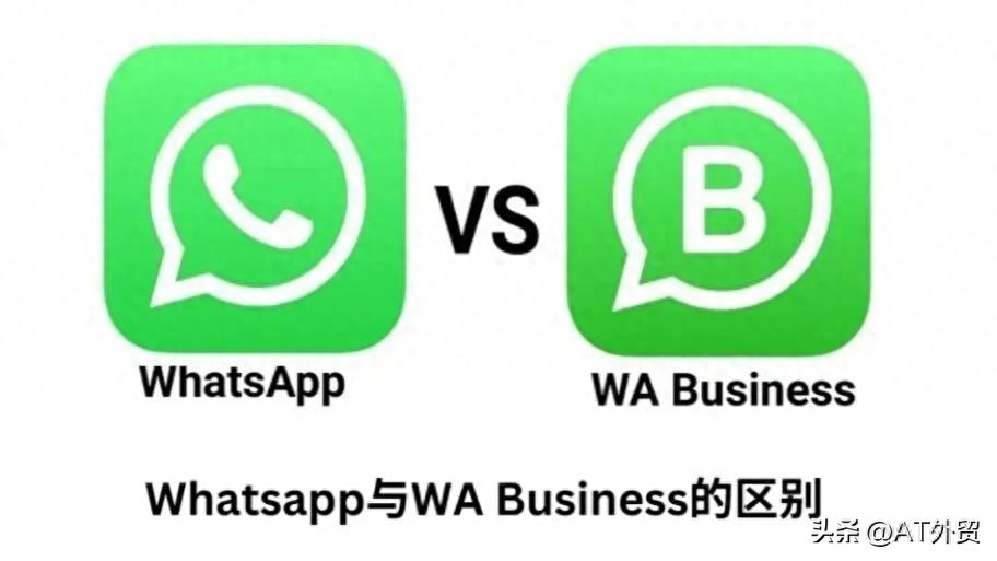 WhatsApp个人版与商业版区别_WhatsApp功能对比_WhatsApp