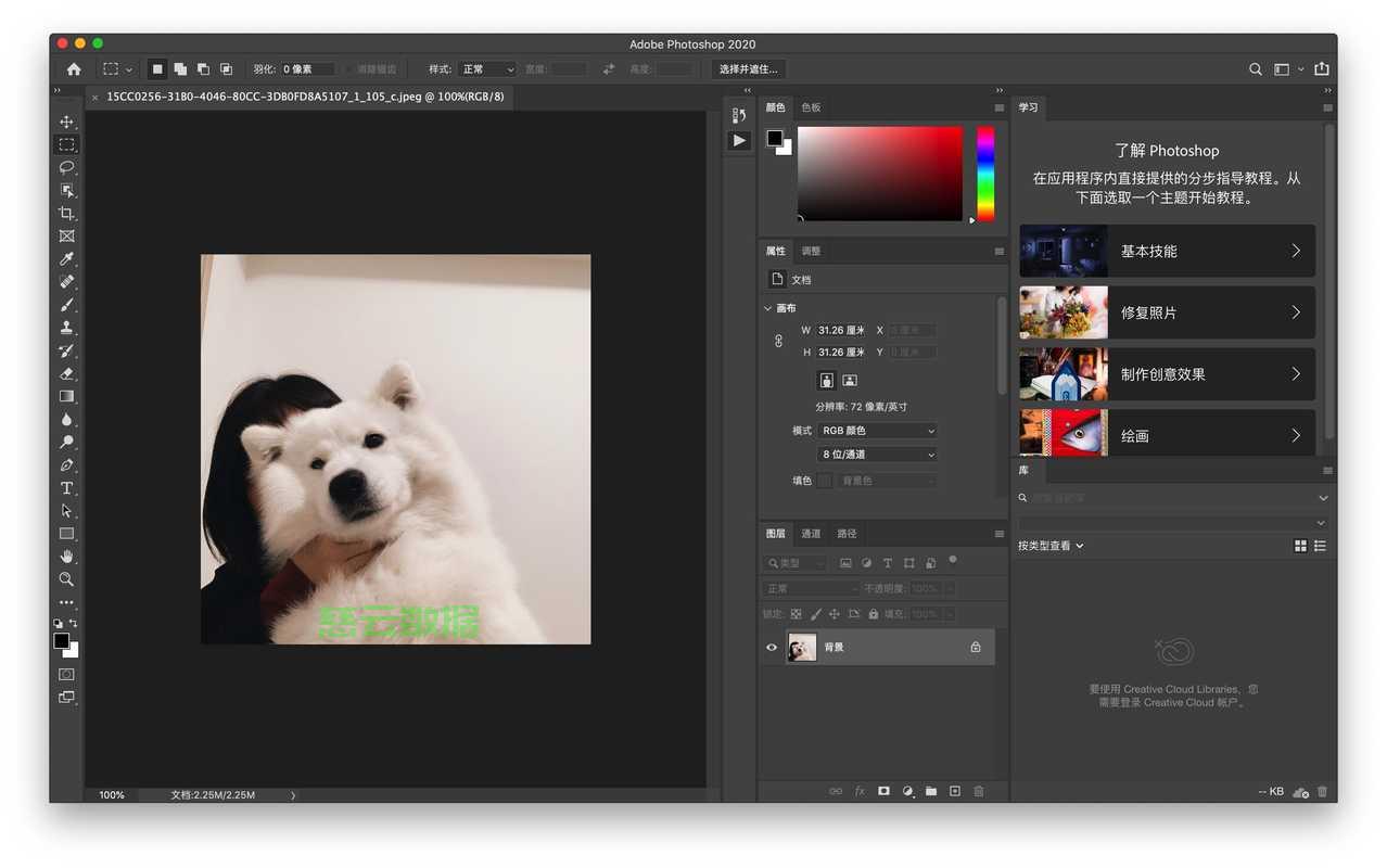Photoshop软件下载与安装指南 第2张