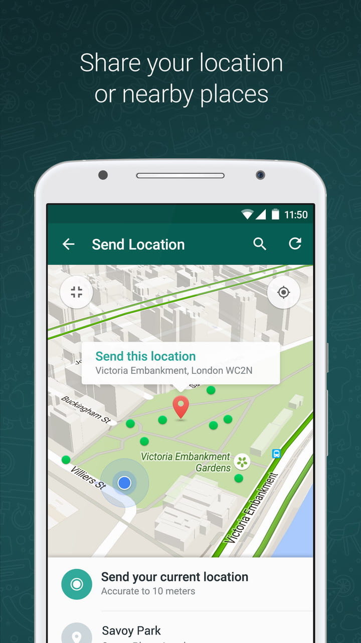 WhatsApp群聊功能优势_WhatsApp_WhatsApp免费视频通话