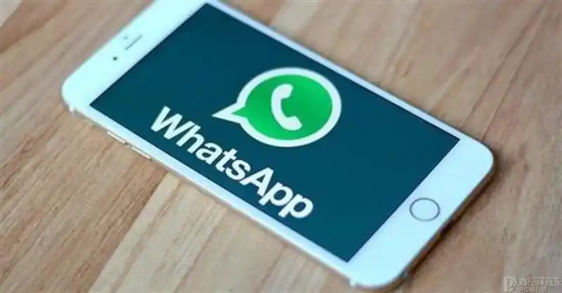 WhatsApp_WhatsApp 99打车服务_滴滴出行巴西合作WhatsApp