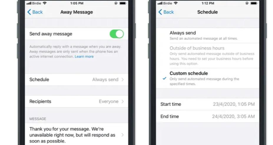 WhatsApp Business自动回复功能_WhatsApp Business外贸客户管理_WhatsApp