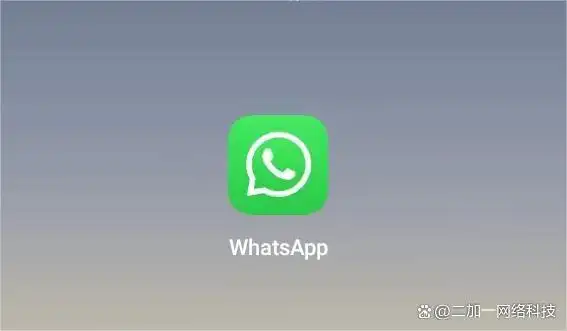 WhatsApp_WhatsApp加密即时通讯_WhatsApp注册使用教程