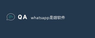 WhatsApp_WhatsApp iPhone12使用方法_WhatsApp iOS15教程