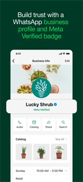 WhatsApp Business