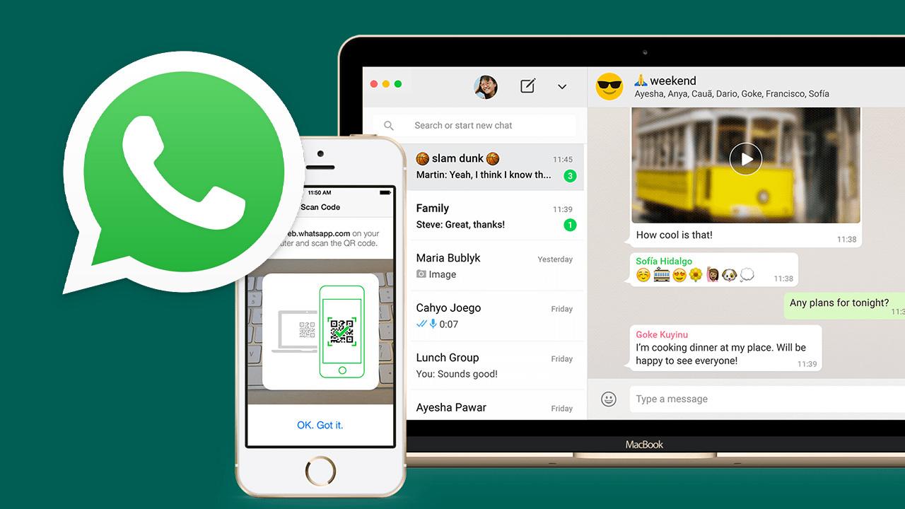 WhatsApp新功能_WhatsApp_WhatsApp跨平台使用