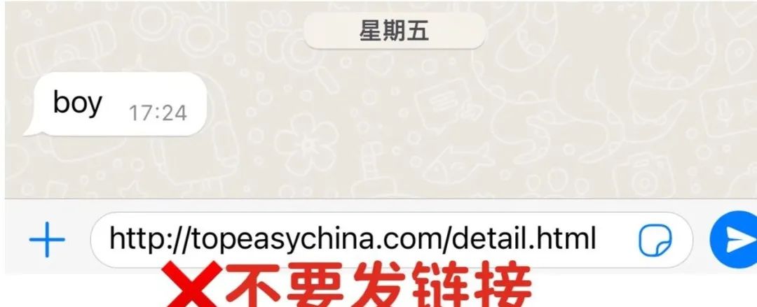 WhatsApp_WhatsApp Business功能_WhatsApp Messenger与WhatsApp Business区别