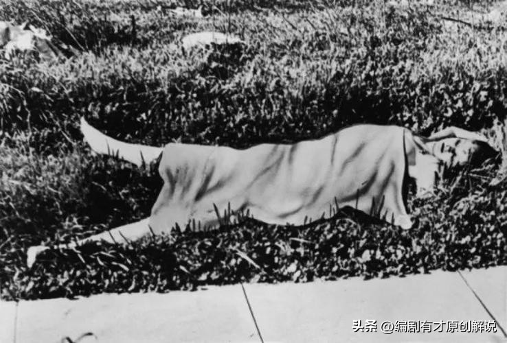 美国黄道十二宫杀手案_十二宫杀手手机在线看_十二宫杀手340密码