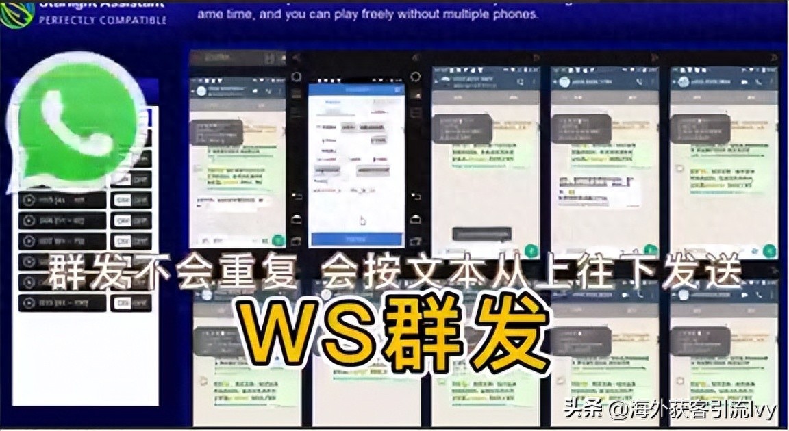 whatsapp个人号群发方法_whatsapp群发工具_WhatsApp