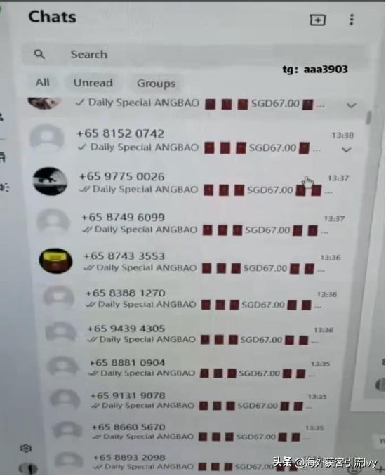 whatsapp群发工具_whatsapp个人号群发方法_WhatsApp
