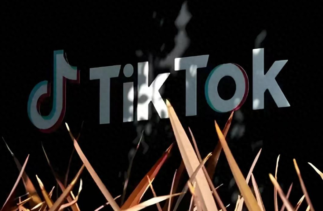 H20算力芯片安全风险_TikTok诉字节跳动索赔580亿美元_WhatsApp