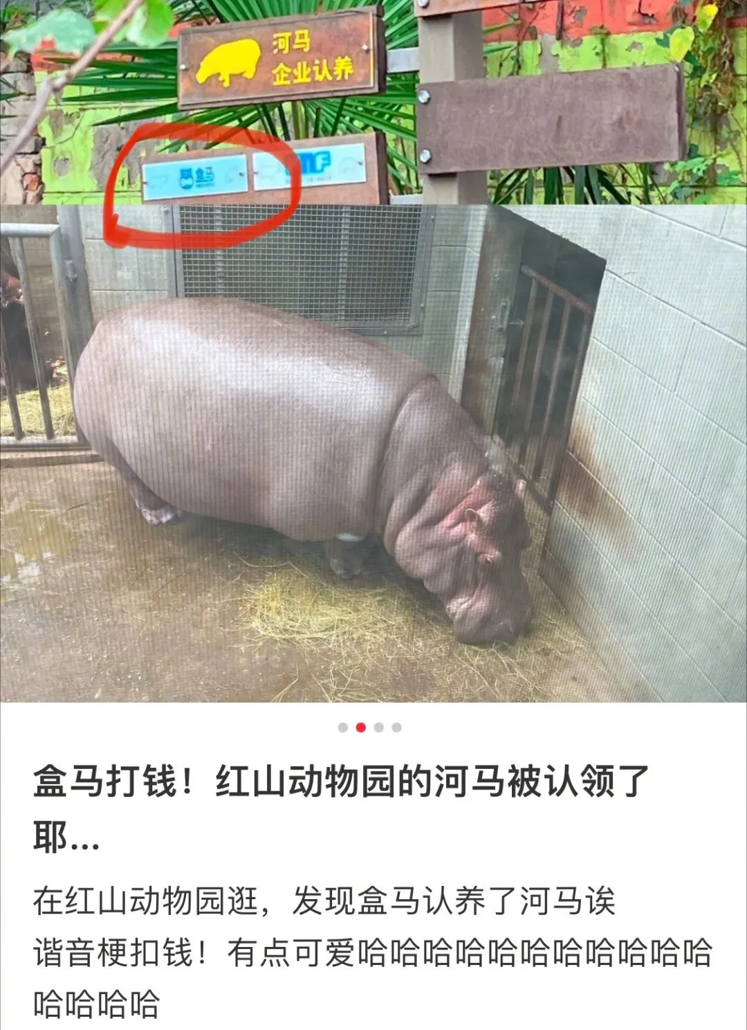 苹果石榴发布会_盒马营销策略_苹果发布会段子手狂欢