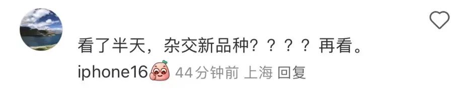 苹果石榴发布会_盒马营销策略_苹果发布会段子手狂欢
