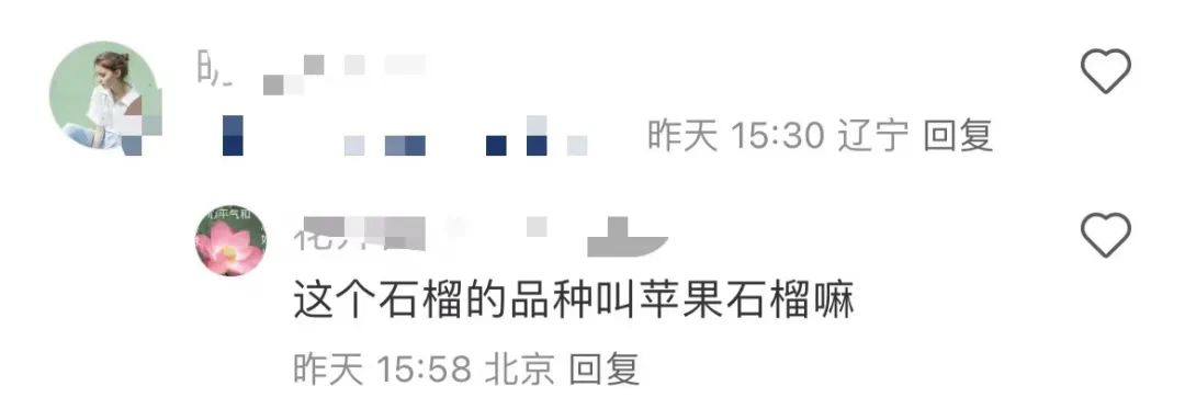 苹果石榴发布会_盒马营销策略_苹果发布会段子手狂欢