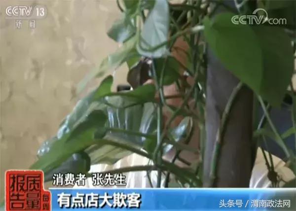去哪网儿官网_去哪儿网酒店预订纠纷_不可取消酒店预订