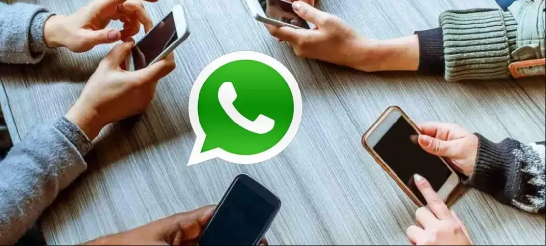 WhatsApp Business版本使用技巧_WhatsApp_WhatsApp外贸沟通软件