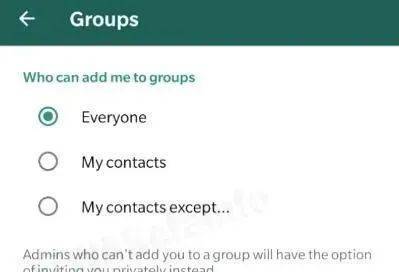 WhatsApp_WhatsApp消息发送技巧_WhatsApp群组管理技巧