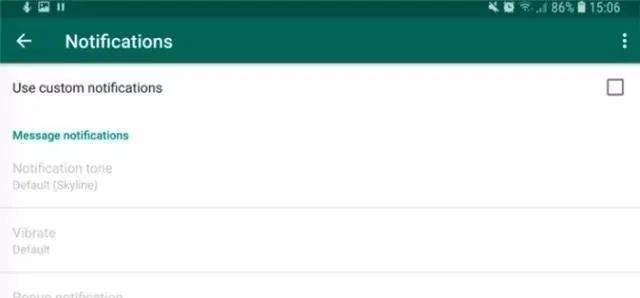 WhatsApp消息发送技巧_WhatsApp群组管理技巧_WhatsApp