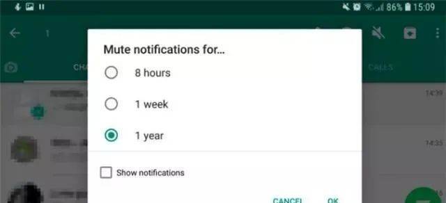 WhatsApp群组管理技巧_WhatsApp_WhatsApp消息发送技巧
