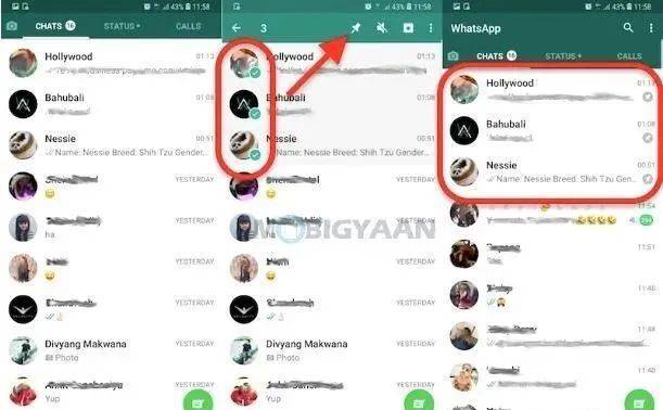 WhatsApp群组管理技巧_WhatsApp_WhatsApp消息发送技巧