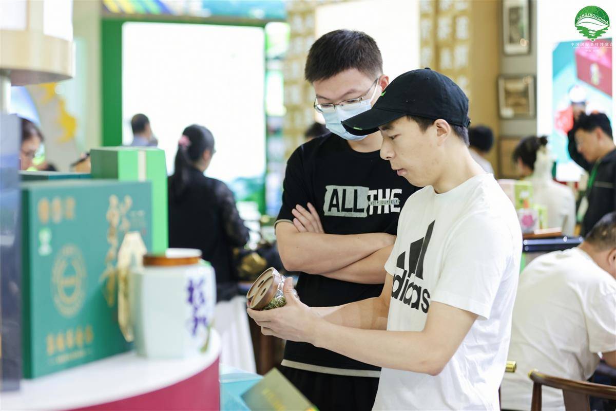第五届中国国际茶叶博览会_茶博会专业推介视频_湖北茶叶品牌