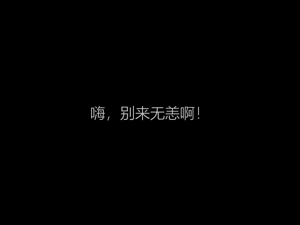 微软Windows系统U盘安装指南_Windows 11系统U盘制作教程_hp服务器用u盘装系统