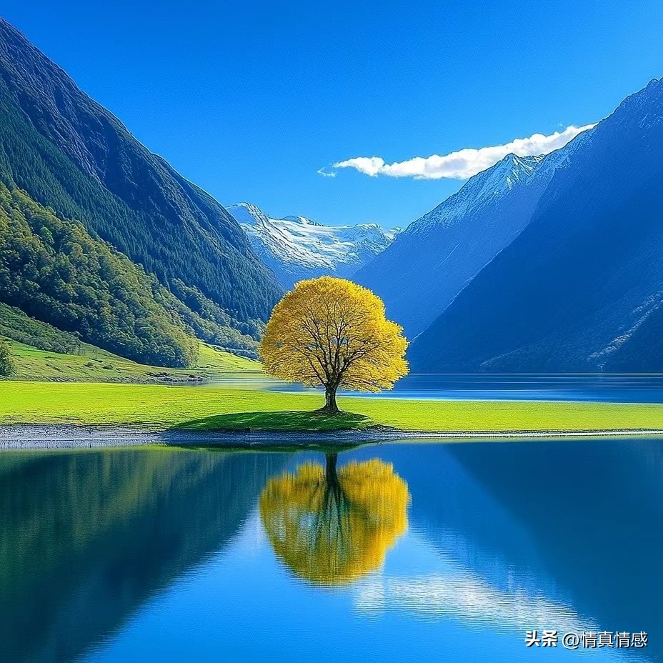 时来运转_时来运转的图片_命运选择人