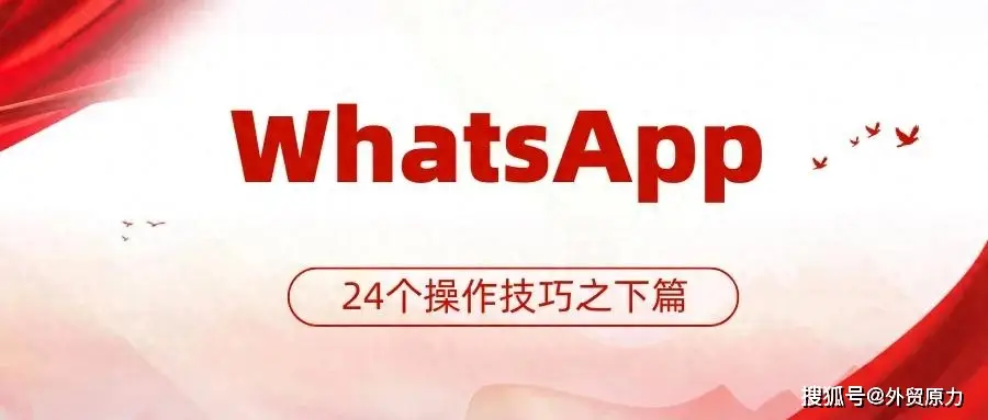 WhatsApp新设备关联技巧_WhatsApp批量导入联系人方法_WhatsApp