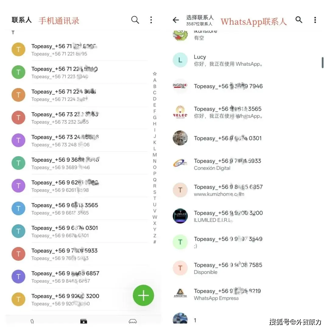 WhatsApp_WhatsApp新设备关联技巧_WhatsApp批量导入联系人方法