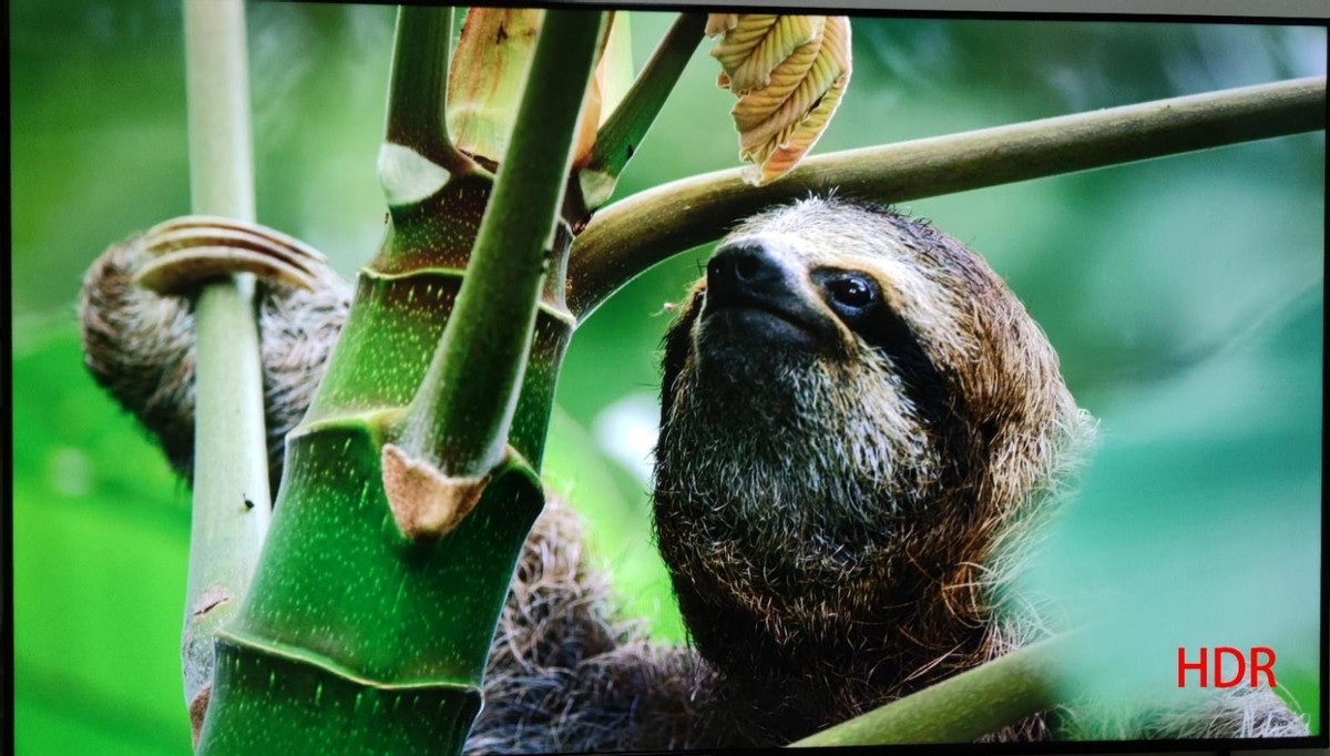 HDR视频格式解析_HDR技术详解_为什么现在视频播放器不能看电视直播了