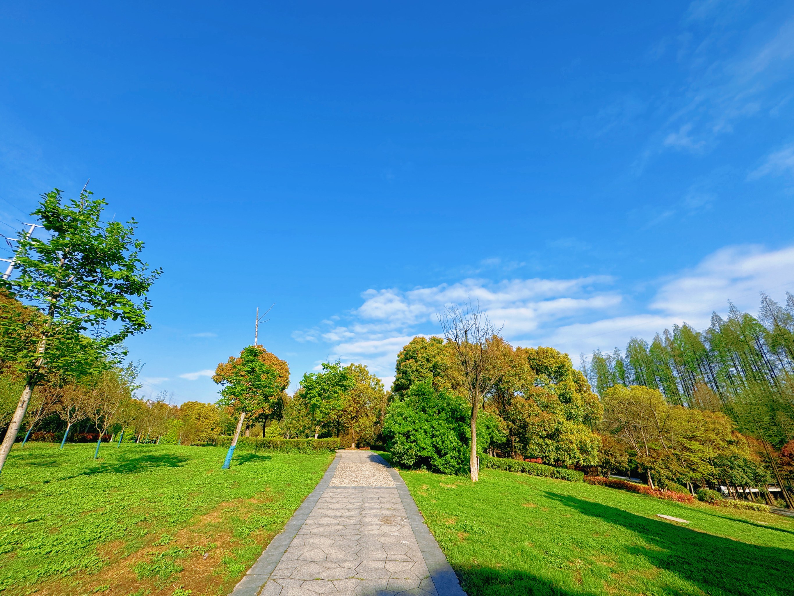 手机照片转视频工具_剪映照片转视频教程_苹果看视频用什么软件好