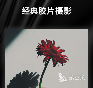 普通相机下载安装_日式清新风格照片拍摄软件_手机相机app下载推荐