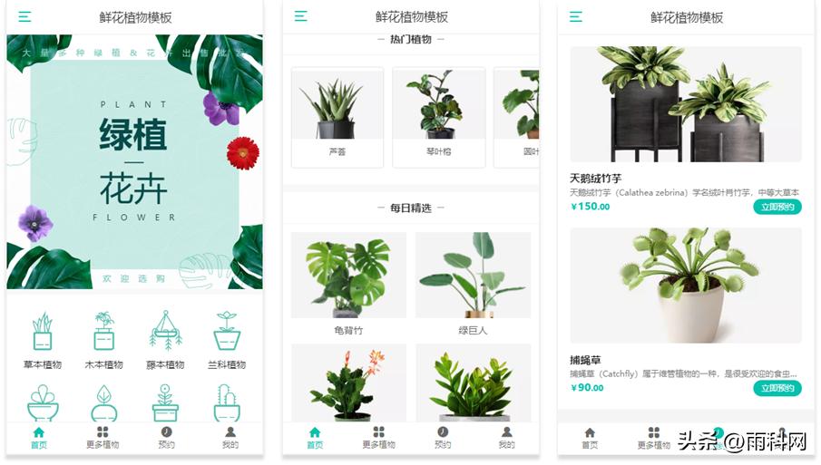 鲜花植物网站建设_雨科网建站平台_网上买鲜花那个网站好