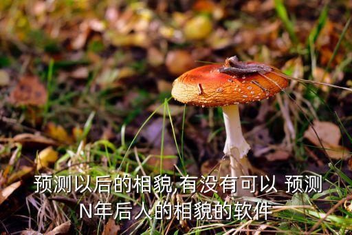 预测以后的相貌,有没有可以 预测N年后人的相貌的软件