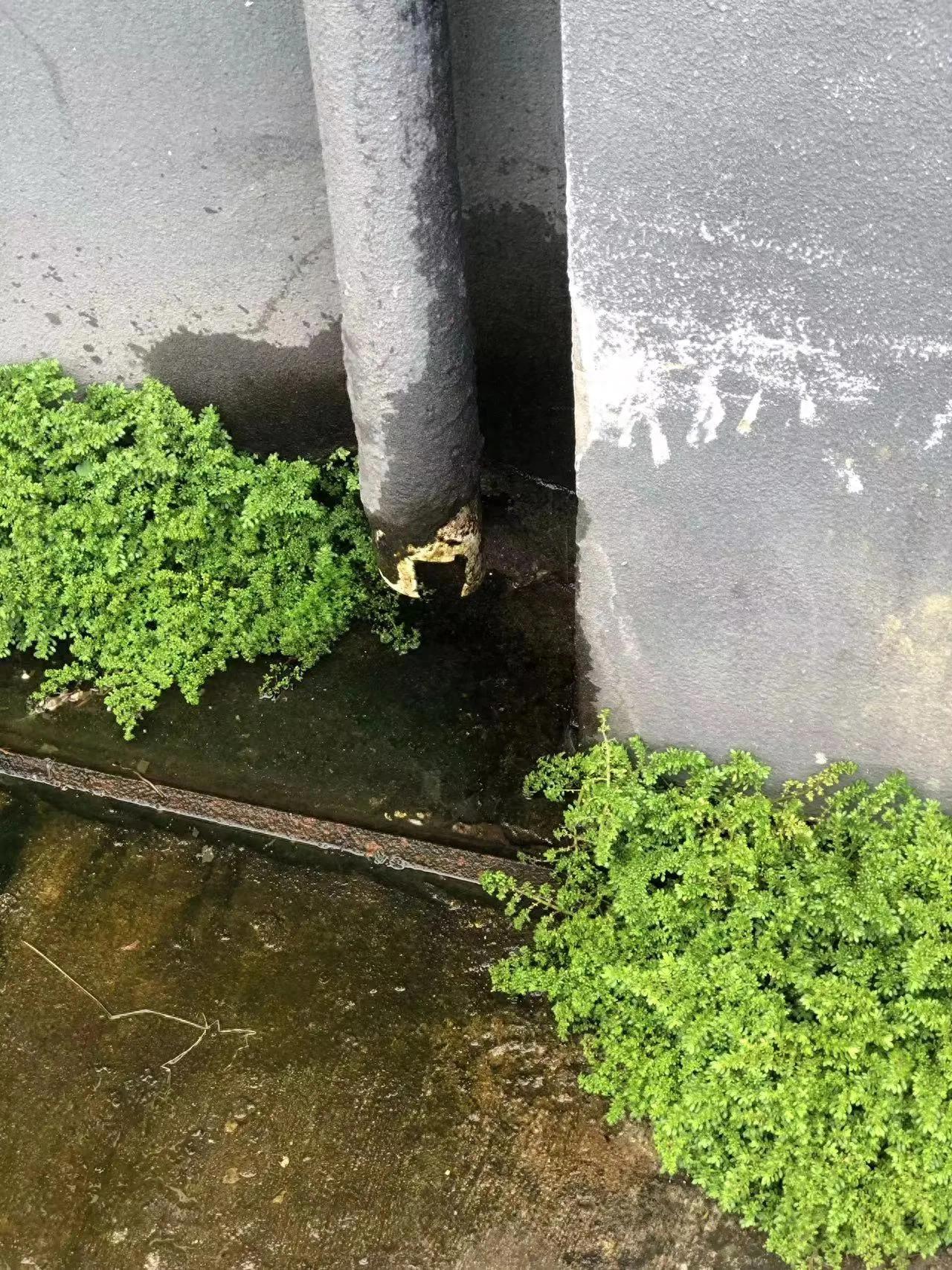 移动硬盘无法读取原因及解决方法_移动硬盘无法识别的常见问题及修复技巧_win10u盘不显示可移动磁盘