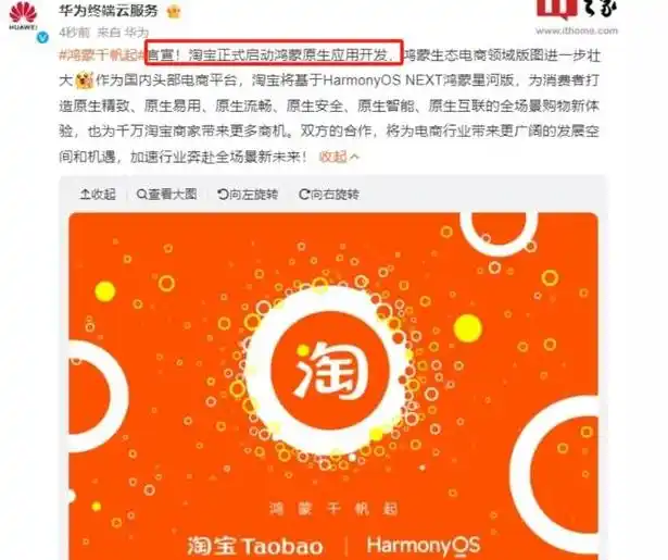 淘宝选择鸿蒙系统原生态开发_淘宝网最大的股东是谁_马云重返阿里成为最大股东