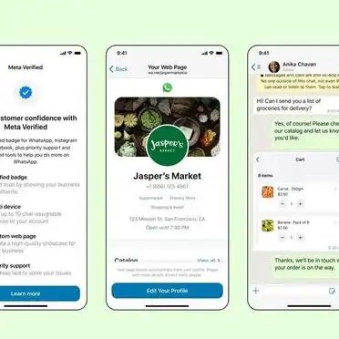 WhatsApp_whatsapp账号被封解封方法_whatsapp营销导致封号处理技巧
