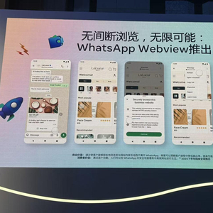 whatsapp lite版营销消息api_WhatsApp_whatsapp直接发送api业务通话api