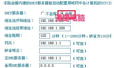 电脑的本地连接受限制_路由器DHCP服务设置_网络受限原因与解决方案