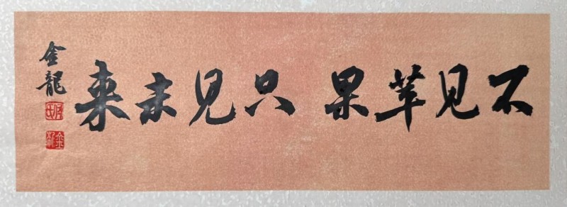 未来全屏通头显_全屏通头显与苹果Vision Pro对比_WhatsApp