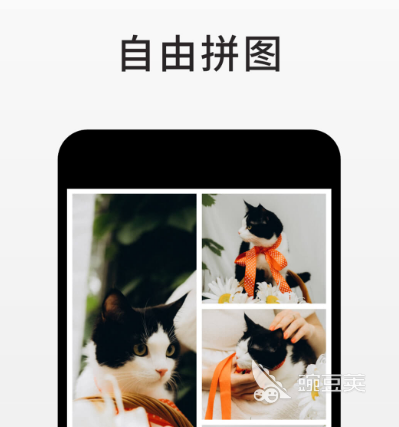鉴别图片是不是网图app_扫一扫识别图片找原图app_黑光图库原图搜索