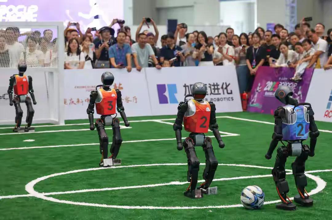 可以聊天的软件机器人_2025世界智能产业博览会 人形机器人 互动体验