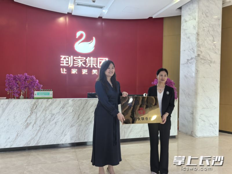 长沙天心区网络主播妇联_长沙新兴领域妇联组织建设_长沙网络营销公司哪家好
